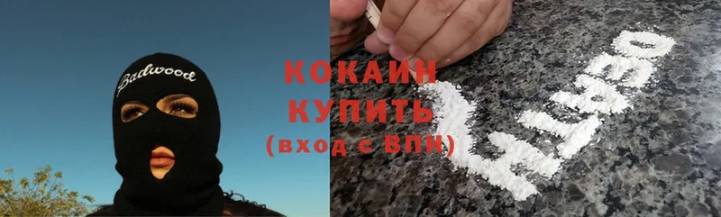 где можно купить наркотик  Арск  ссылка на мегу зеркало  COCAIN Fish Scale 